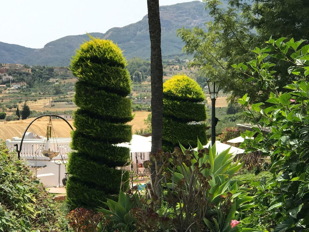 科尔蒂霍安达卢兹住宿加早餐旅馆 阿尔豪林格朗德 外观 照片